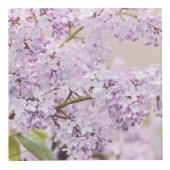 Cube Photo Jardin sur une boîte (Droite)