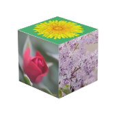 Cube Photo Jardin sur une boîte (Angle devant)