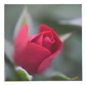 Cube Photo Jardin sur une boîte (Devant)