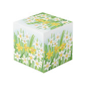Cube Photo Les jonquilles jaunes et blanches au printemps (Angle arrière)