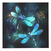 Cube Photo Les libellules du lac (Devant)