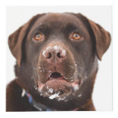 Cube Photo Mémorial personnalisé de chien (Droite)