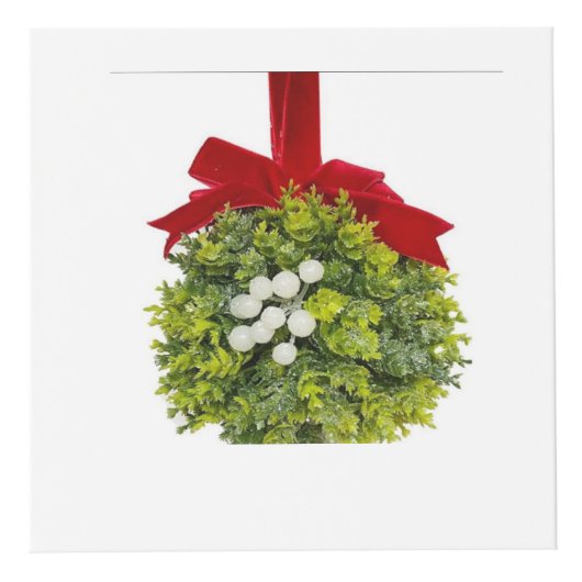 Cube Photo mistletoe (Devant)