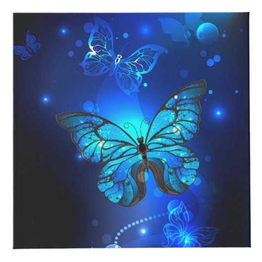 Cube Photo Morpho Butterfly in the Dark Background (Droite)