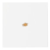 Cube Photo Orange jaunâtre, Jaune orangé (Droite)