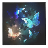 Cube Photo Papillon de nuit (Droite)