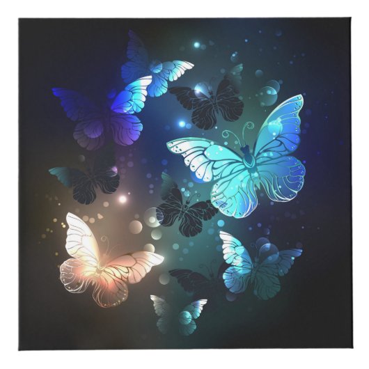 Cube Photo Papillon de nuit (Droite)