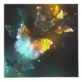 Cube Photo Papillon lumineux et papillons de nuit (Devant)