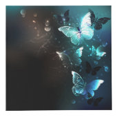 Cube Photo Papillons de nuit (Droite)