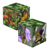 Cube Photo Papillons Photo Décorative Photo