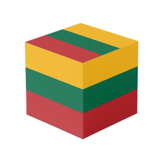 Cube Photo pavillon lituanien (Angle devant)