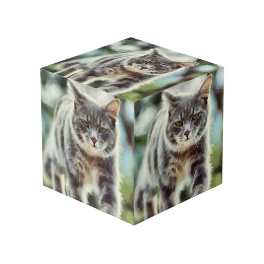 Cube Photo Peinture de chat (Angle devant)