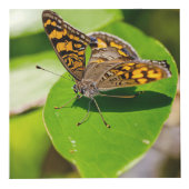 Cube photo personnalisé 4" (Devant)