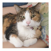 Cube Photo Pet Memorial Custom 4 Photo (Devant)