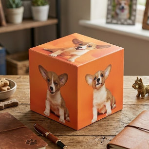 Cube Photo Photo personnalisée avec votre chien 5 images sur