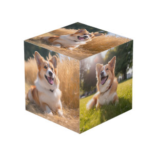 Cube Photo Photo personnalisée pour animaux