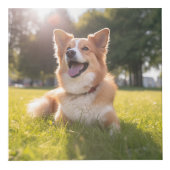 Cube Photo Photo personnalisée pour animaux (Droite)