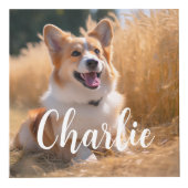 Cube Photo Photo personnalisée pour animaux (Devant)