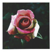Cube Photo rose (Droite)