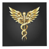 Cube Photo Symbole Polygonal Or Caduceus (Droite)