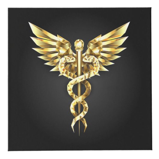 Cube Photo Symbole Polygonal Or Caduceus (Devant)