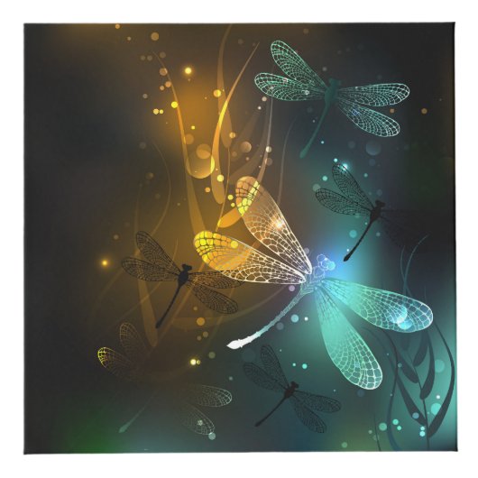 Cube Photo Vol de libellule verte lumineuse (Droite)