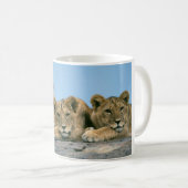 Cubes de café en céramique Mug Lion (Devant droit)