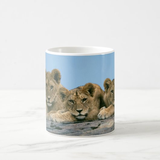 Cubes de café en céramique Mug Lion (Centre)