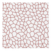 Cubes photos (Devant)