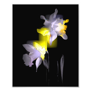 Cubist Daffodils Foto Afdruk