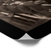 Cubs Vs Tigers Baseball Foto 1907 Poster (Hoek)