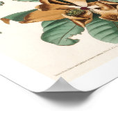 Cuckoo à bec noir par Audubon Poster (Coin)