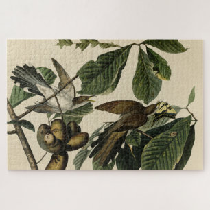 Cuckoo - Amerikaanse vogels Legpuzzel