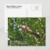 Cuckoo-Briefkaart met zwarte vulling Briefkaart (Voorkant / Achterkant)