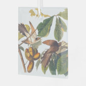 Cuckoo Glas Ornament (Voorkant links)