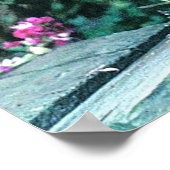 Cuckoo Marans Hens Poster (Hoek)