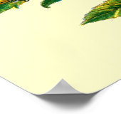 Cucullia verbasci poster (Hoek)