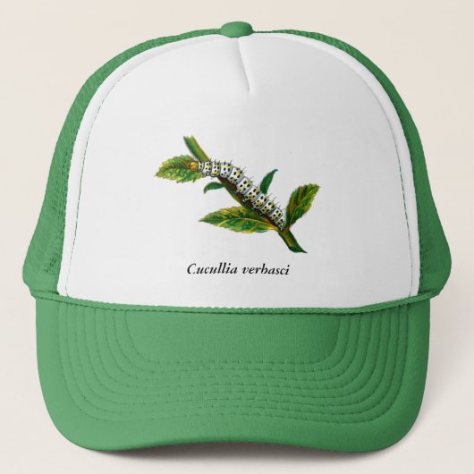 Cucullia verbasci trucker pet (Voorkant)