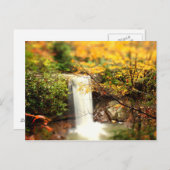 Cucumber Herfsten kleurt Briefkaart (Voorkant / Achterkant)