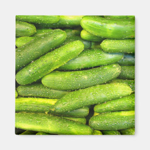 Cucumber Magnet 01 Magneet