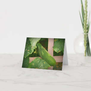 Cucumber Notecard Kaart