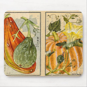 Cucurbita Pepo -  kunst van Seikei Zusetsu Muismat