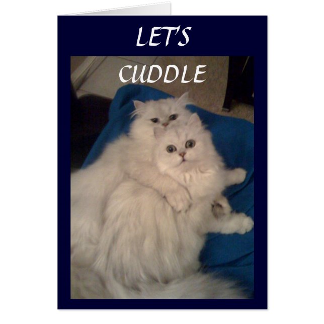 CUDDLE (Devant)