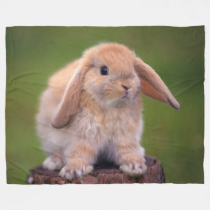 CUDDLE BUNNY FLEECE DEKEN