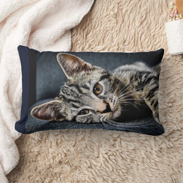 CUDDLE CUTE CUTE CUTE CUTE COUSSINS (Couverture)