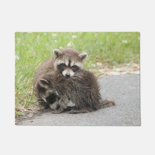 Cuddling-Baby-accoons Deurmat (Voorkant)
