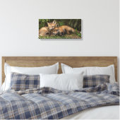 Cuddling Fox Kits Canvas Afdruk (Insitu (Slaapkamer))