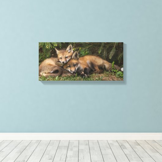 Cuddling Fox Kits Canvas Afdruk (Insitu (Houten vloer))