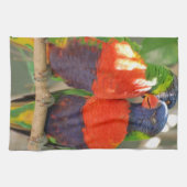 Cuddling Lorikeets Kitchen Towel Theedoek (Horizontaal)