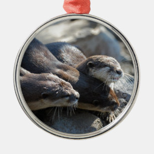 Cuddling Otters Metalen Ornament